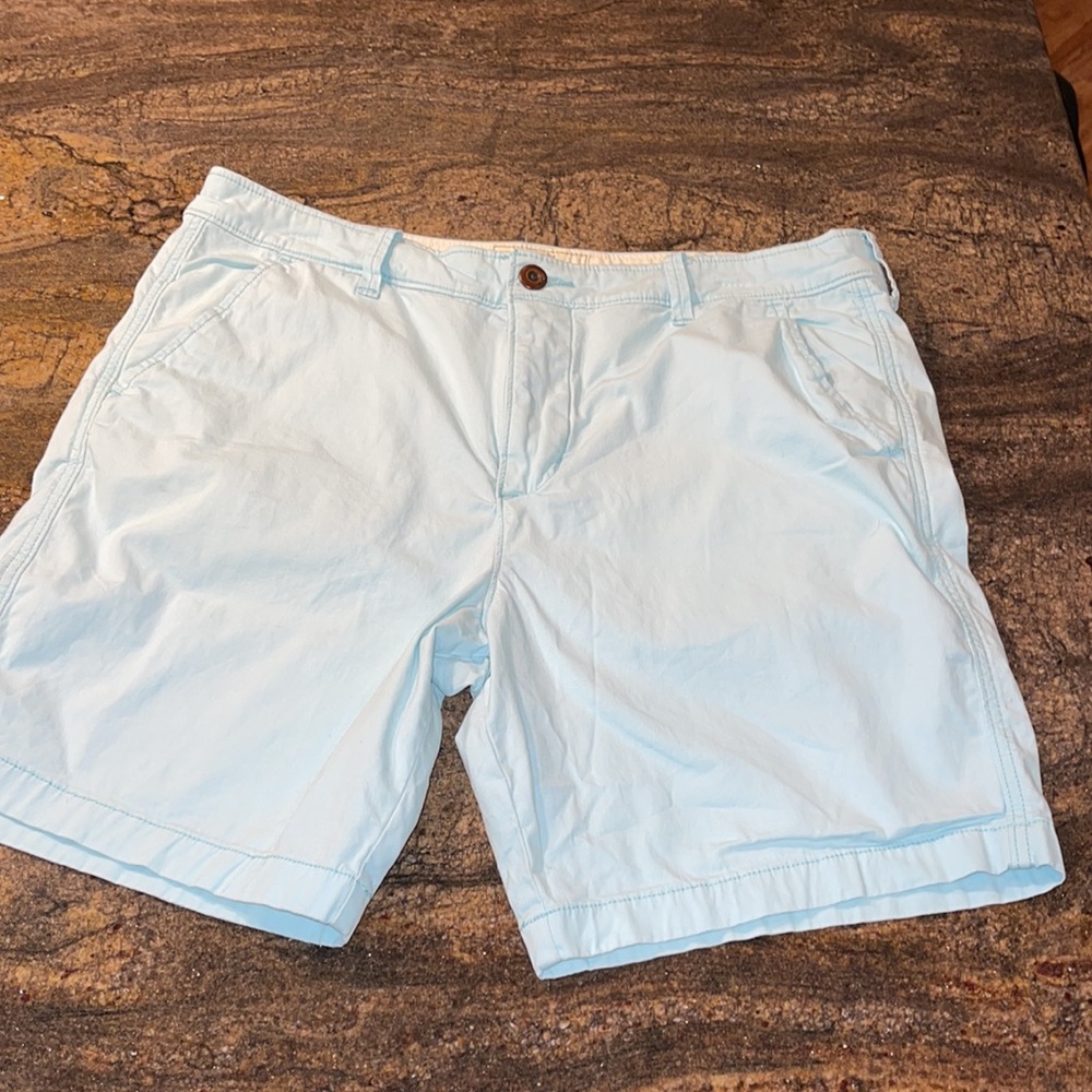 Men’s Hollister Beach Prep Fit Shorts mint color size 36‎